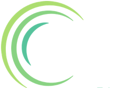 Council for Economic Education Logo